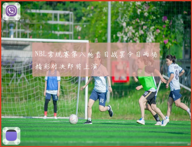 NBL常规赛第八轮首日战罢今日两场精彩对决即将上演