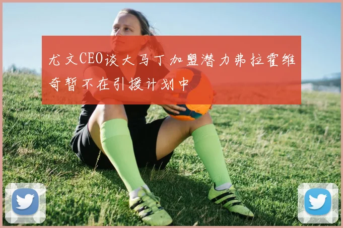 尤文CEO谈大马丁加盟潜力弗拉霍维奇暂不在引援计划中