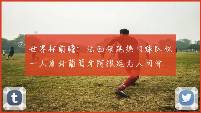 世界杯前瞻：法西领跑热门球队仅一人看好葡萄牙阿根廷无人问津