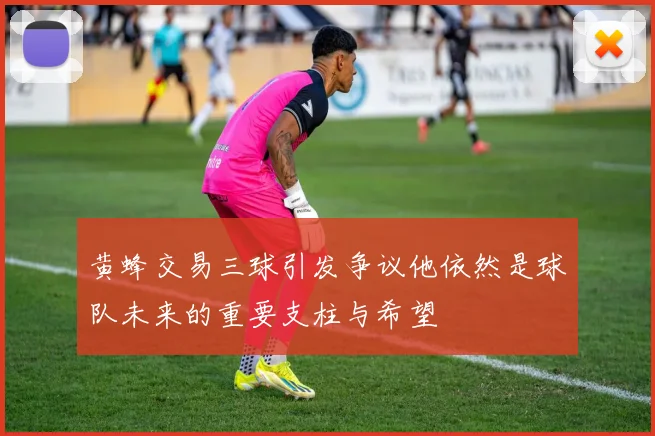 黄蜂交易三球引发争议他依然是球队未来的重要支柱与希望