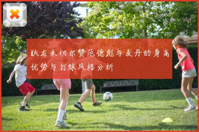 狄龙米切尔赞范德彪与麦丹的身高优势与打球风格分析